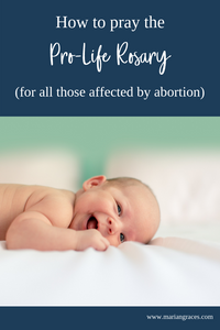 How to pray the Pro-Life Rosary